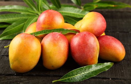 Otras frutas – Purafruta – Fruta fresca 12 meses al año